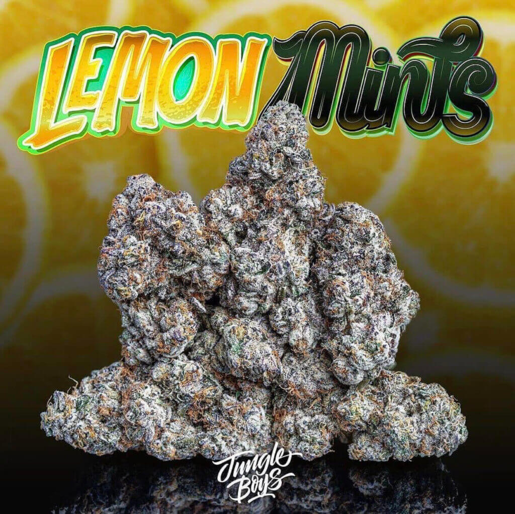 Lemon mints Best EU Cannabis Shop