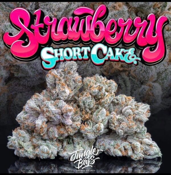 Strawberry shortcake strain